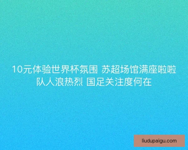 10元体验世界杯氛围 苏超场馆满座啦啦队人浪热烈 国足关注度何在