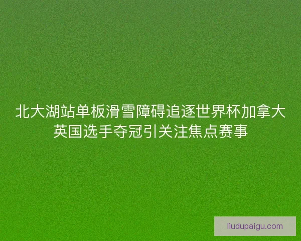 北大湖站单板滑雪障碍追逐世界杯加拿大英国选手夺冠引关注焦点赛事
