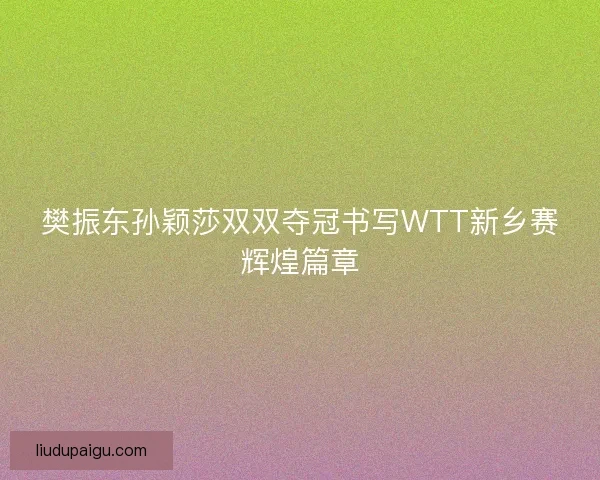樊振东孙颖莎双双夺冠书写WTT新乡赛辉煌篇章
