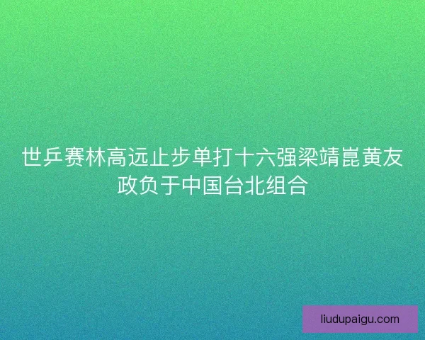 世乒赛林高远止步单打十六强梁靖崑黄友政负于中国台北组合